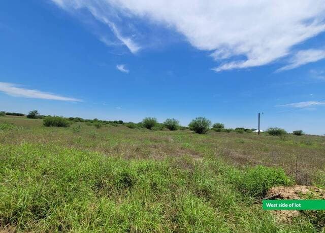 277  Joy Ln, Pleasanton, TX 78064 — photo 13