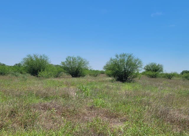 277  Joy Ln, Pleasanton, TX 78064 — photo 7