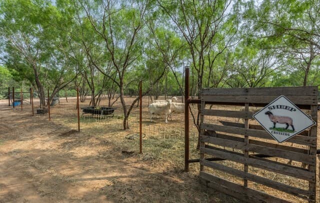 224  County Road 662, Devine, TX 78016 — photo 10