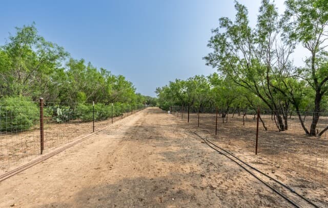 224  County Road 662, Devine, TX 78016 — photo 12