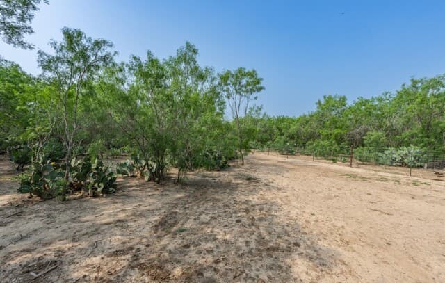 224  County Road 662, Devine, TX 78016 — photo 13