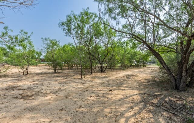 224  County Road 662, Devine, TX 78016 — photo 14