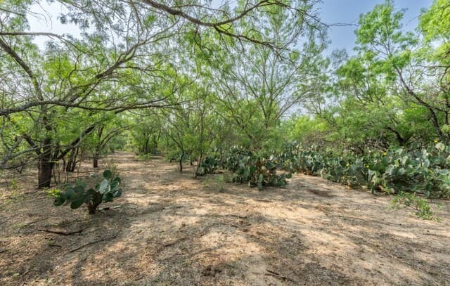 224  County Road 662, Devine, TX 78016 — photo 15