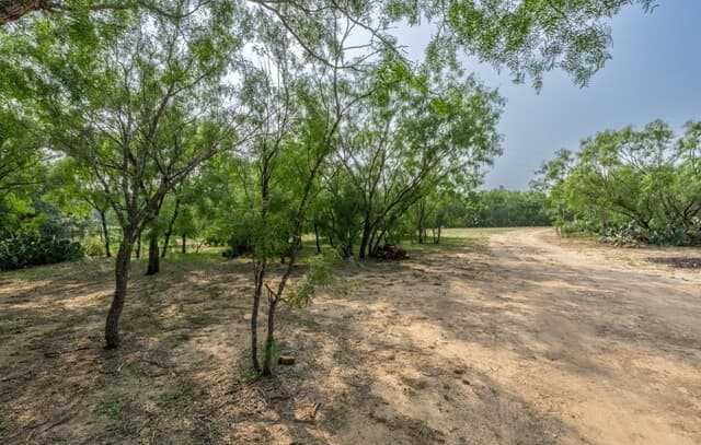 224  County Road 662, Devine, TX 78016 — photo 18