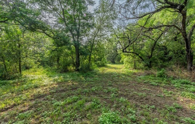 224  County Road 662, Devine, TX 78016 — photo 2
