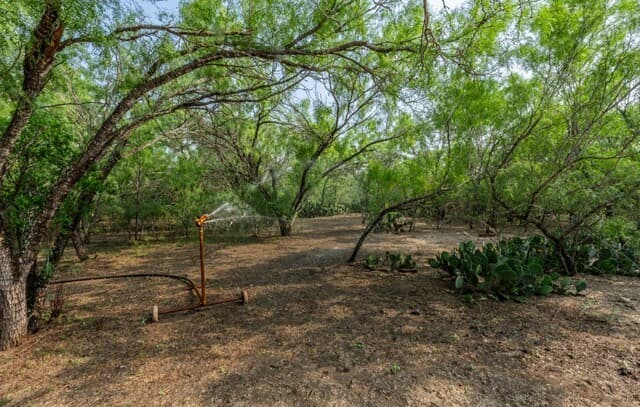 224  County Road 662, Devine, TX 78016 — photo 22