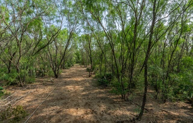 224  County Road 662, Devine, TX 78016 — photo 23