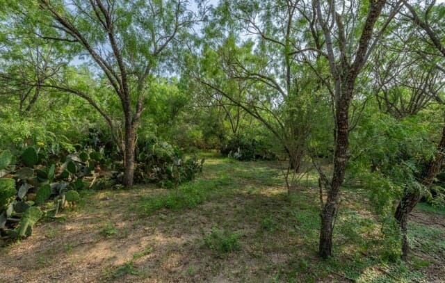 224  County Road 662, Devine, TX 78016 — photo 24