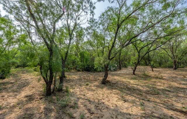 224  County Road 662, Devine, TX 78016 — photo 25