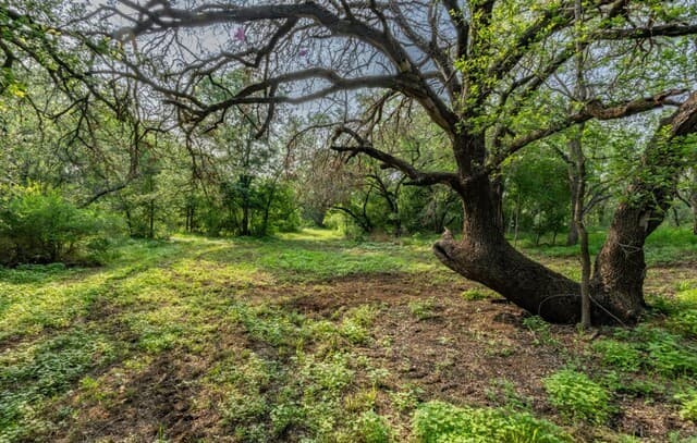 224  County Road 662, Devine, TX 78016 — photo 3