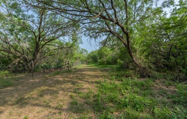 224  County Road 662, Devine, TX 78016 — photo 4