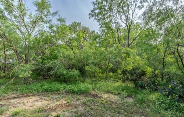 224  County Road 662, Devine, TX 78016 — photo 5