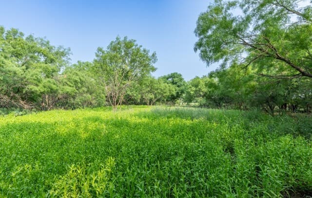 224  County Road 662, Devine, TX 78016 — photo 6