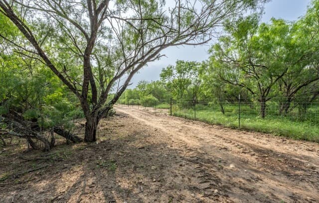 224  County Road 662, Devine, TX 78016 — photo 8