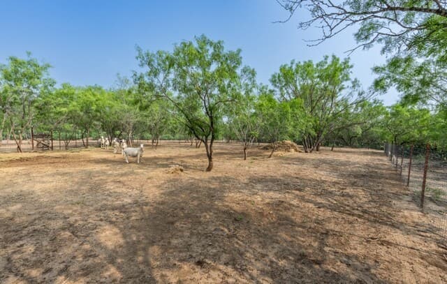 224  County Road 662, Devine, TX 78016 — photo 9