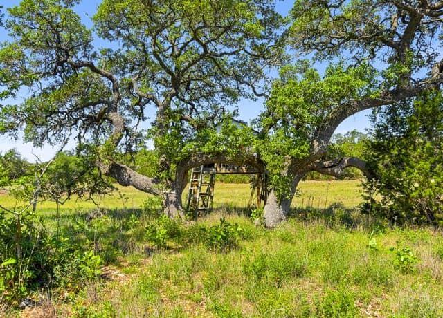 163 N Stallion Estates Drive