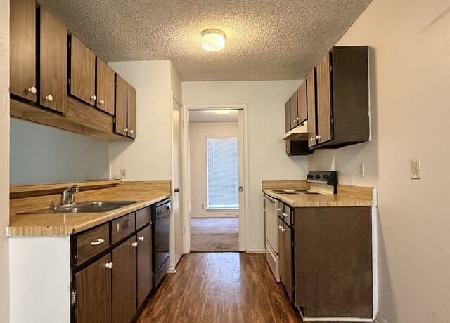 4915  Sierra Madre Dr, San Antonio, TX 78233 — photo 4
