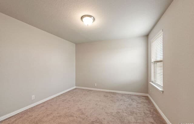 2058  Egret Ave, New Braunfels, TX 78132 — photo 17