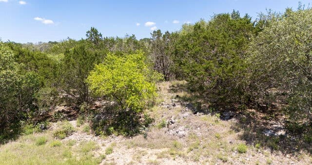189  Morning View Dr, New Braunfels, TX 78132 — photo 19