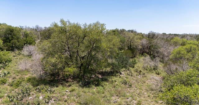 189  Morning View Dr, New Braunfels, TX 78132 — photo 21