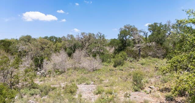 189  Morning View Dr, New Braunfels, TX 78132 — photo 23