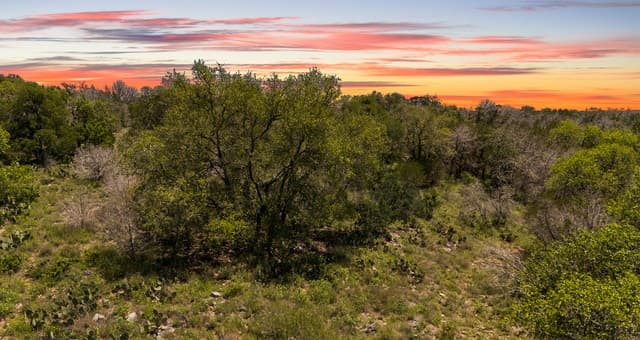 189  Morning View Dr, New Braunfels, TX 78132 — photo 4