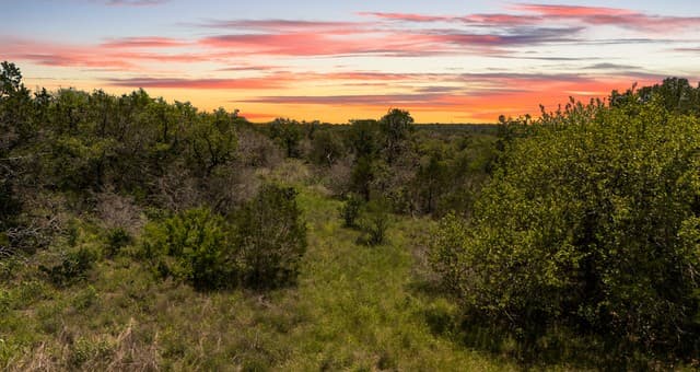 189  Morning View Dr, New Braunfels, TX 78132 — photo 7