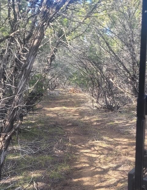 LOT 20  County Road 357B, Utopia, TX 78884 — photo 10