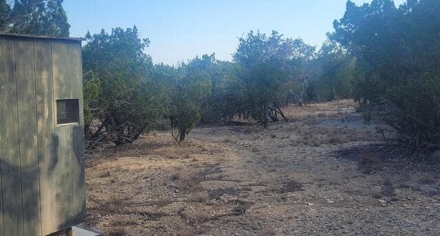 LOT 20  County Road 357B, Utopia, TX 78884 — photo 11