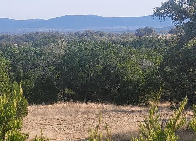 LOT 20  County Road 357B, Utopia, TX 78884 — photo 3