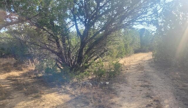 LOT 20  County Road 357B, Utopia, TX 78884 — photo 7