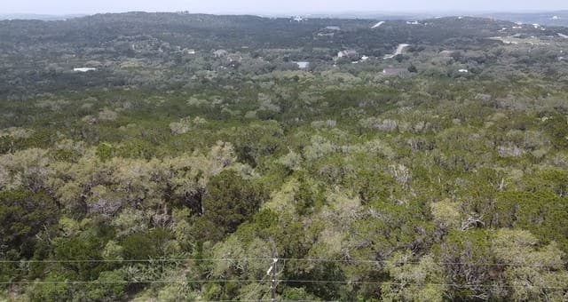 460  County Road 2753, Mico, TX 78056 — photo 13