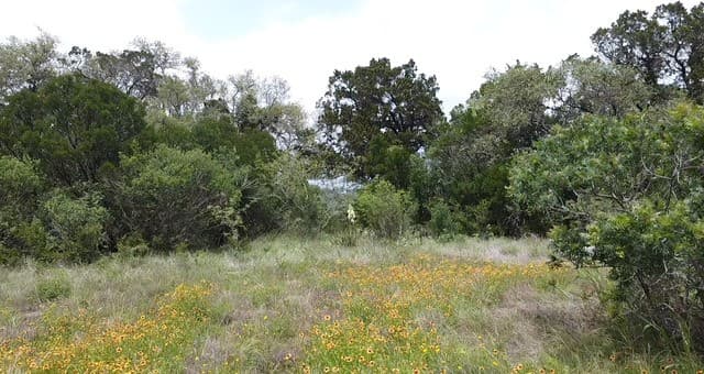 460  County Road 2753, Mico, TX 78056 — photo 3