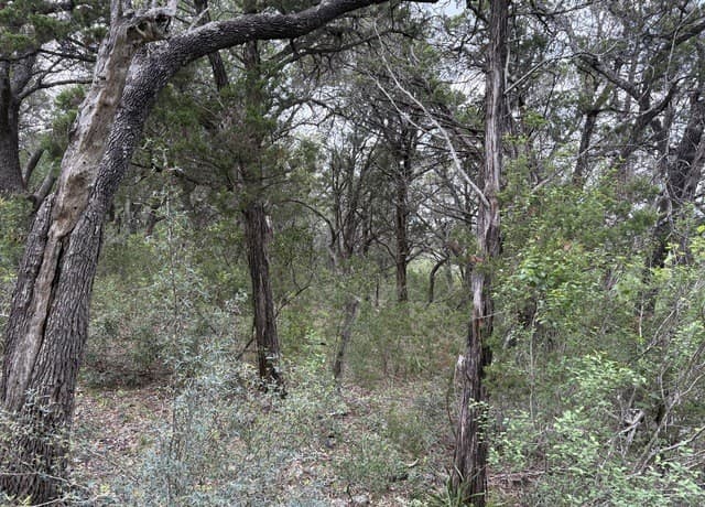 460  County Road 2753, Mico, TX 78056 — photo 7