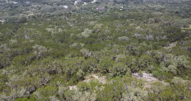 460  County Road 2753, Mico, TX 78056 — photo 9