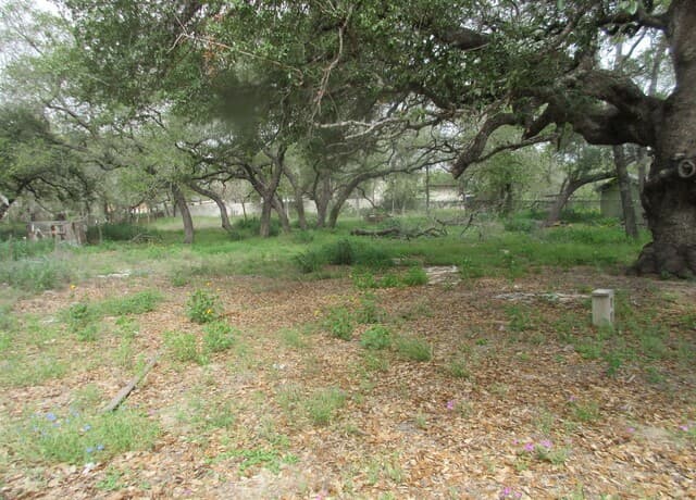 23753  Us Highway 281 So, San Antonio, TX 78264 — photo 2
