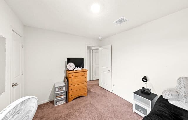 15244  Sleepy River Way, Von Ormy, TX 78073 — photo 20