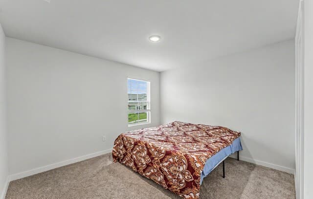 16515  Rosemary Rdg, Elmendorf, TX 78112 — photo 24