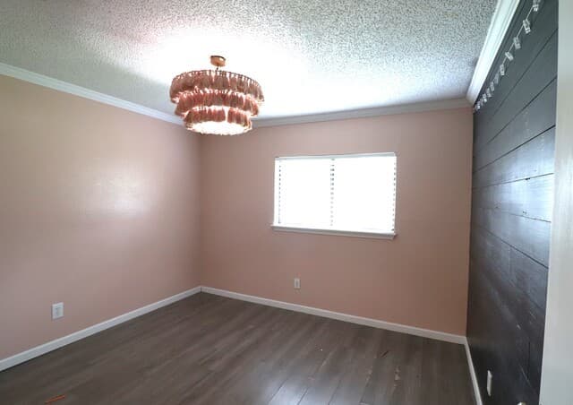 13854 Cane, San Antonio, TX 78233 — photo 16