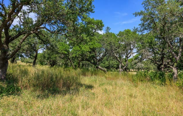 189  Fallen Acorn, Blanco, TX 78606 — photo 10