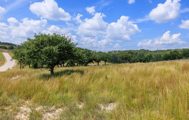189  Fallen Acorn, Blanco, TX 78606 — photo 11