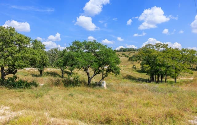 189  Fallen Acorn, Blanco, TX 78606 — photo 13