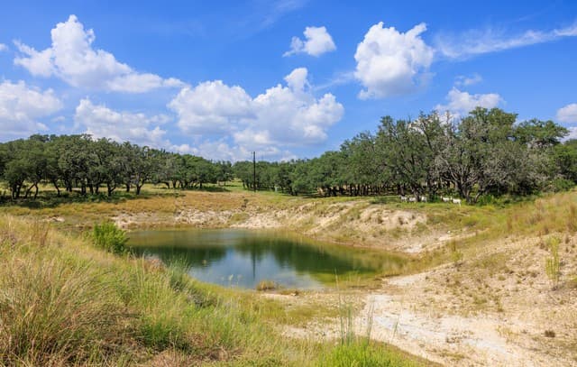 189  Fallen Acorn, Blanco, TX 78606 — photo 20