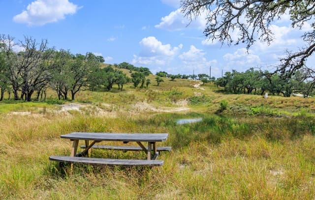 189  Fallen Acorn, Blanco, TX 78606 — photo 25