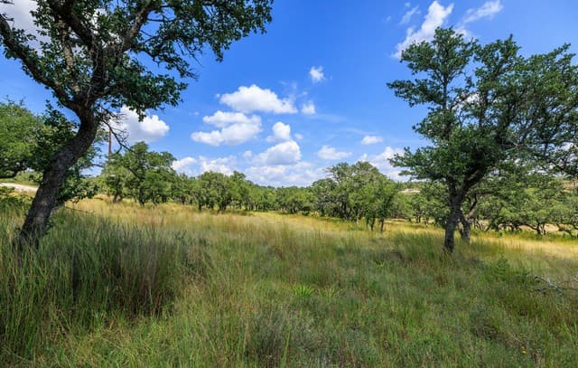 189  Fallen Acorn, Blanco, TX 78606 — photo 5