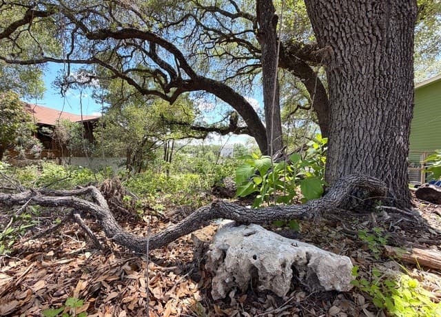 273  Scenic Dr., Canyon Lake, TX 78133 — photo 11