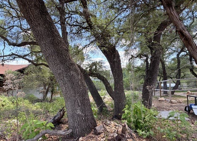 273  Scenic Dr., Canyon Lake, TX 78133 — photo 12