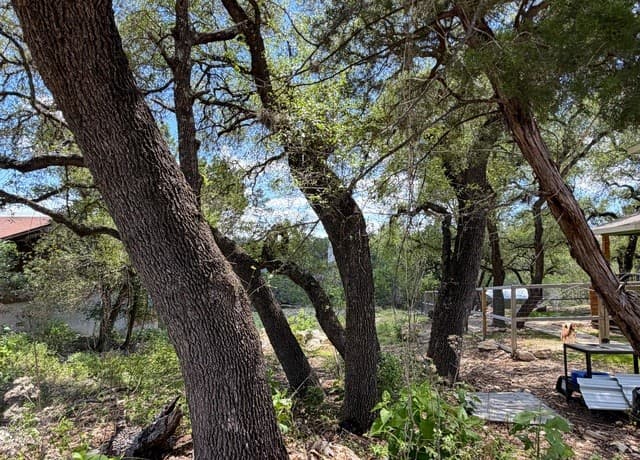 273  Scenic Dr., Canyon Lake, TX 78133 — photo 3