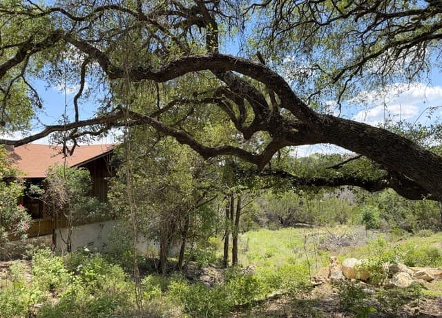 273  Scenic Dr., Canyon Lake, TX 78133 — photo 4