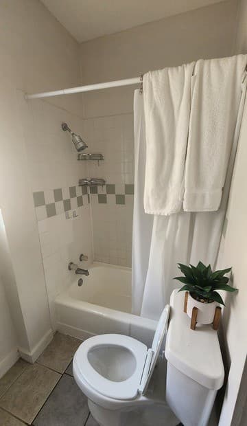 423 W Magnolia Ave, San Antonio, TX 78212 — photo 5